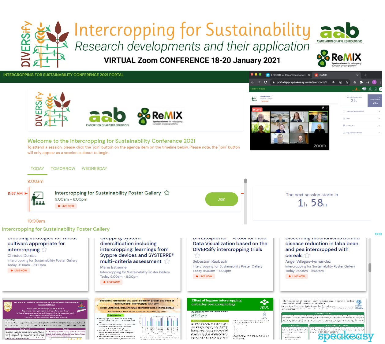 A fruitful conference to share scientific results at the leading edge of knowledge on intercropping:  DIVERSify and ReMIX joint event