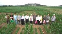 china intercropping 6 team