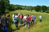 French MAP intercropping 1