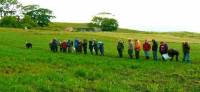 Scotland intercropping 2