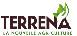 Terrena.logo